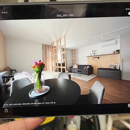 Apartmany U Lesa Dolní Morava Room photo